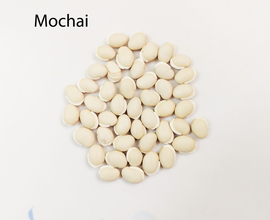 Mochai